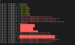 Featured image of post Linux恢复正在运行进程的执行文件